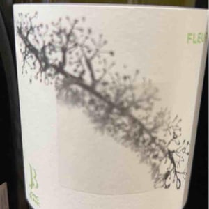 Fleur - Le Jonc Blanc - Isabelle Carles & Franck Pascal 