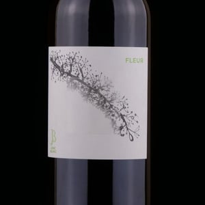 Fleur - Le Jonc Blanc - isabelle-carles-franck-pascal