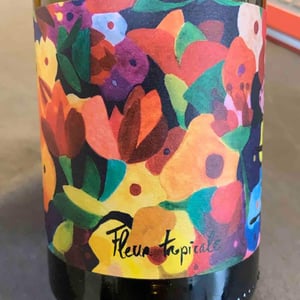 Fleur Tropicale - Les Valseuses - antoine-julia-le-court-chedevergne