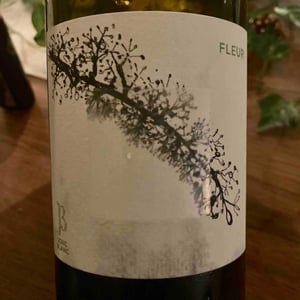 Fleur - Le Jonc Blanc - Isabelle Carles & Franck Pascal 