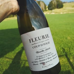Coup D’folie - Les Bertrand - guy-annick-yann-bertrand -2020