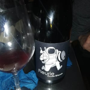 Château de Grand Pré - Claude, Romain & Christine Zordan - Fleurie Cuvée Spaciale