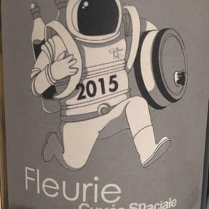 Château de Grand Pré - Claude, Romain & Christine Zordan - Fleurie Cuvée Spaciale