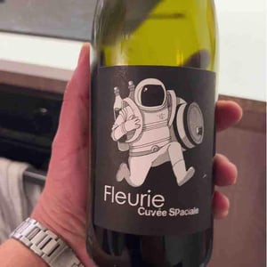 Fleurie Cuvée Spaciale - Château de Grand Pré - Claude, Romain & Christine Zordan 