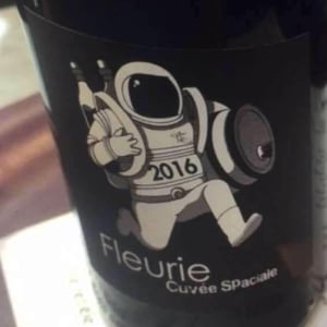 Château de Grand Pré - Claude, Romain & Christine Zordan - Fleurie Cuvée Spaciale