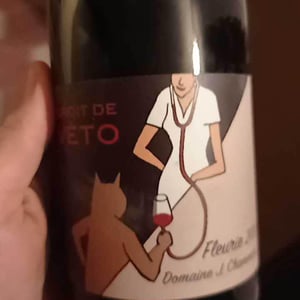 Fleurie Droit de véto - Domaine Chamonard - jean-claude-jeanne-genevieve-chanudet