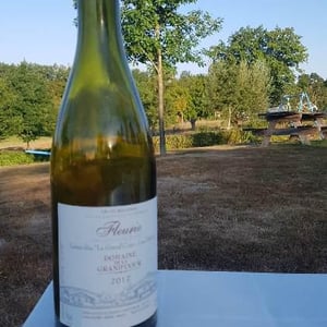 Fleurie Lieux-Dits La Grand' Cour, Les Déduits - Domaine de la Grand'Cour - Jean-Louis Dutraive 