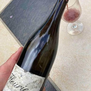 Domaine Métras - Yvon Métras - Fleurie