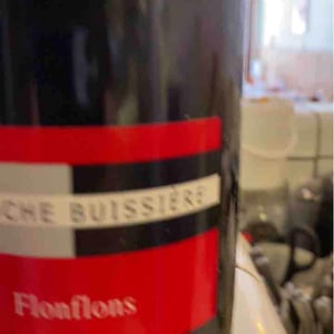 Flonflons - La Roche Buissière - laurence-antoine-joly -20