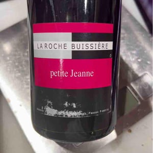 Flonflons - La Roche Buissière - laurence-antoine-joly -20