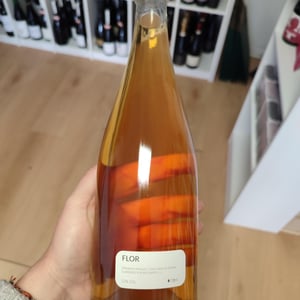 Flor - Fernando Angulo - fernando-angulo-za