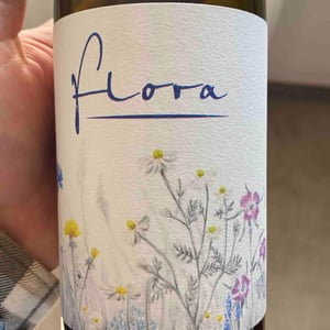 Flora - Sol - michael-gindl
