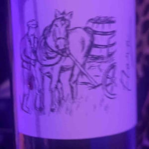Flora - Brand Bros - Weingut Brand - Daniel & Jonas Brand 