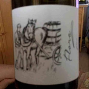 Brand Bros - Weingut Brand - Daniel & Jonas Brand - Flora