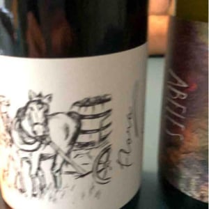 Brand Bros - Weingut Brand - Daniel & Jonas Brand - Flora