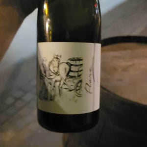 Flora - Brand Bros - Weingut Brand - daniel-jonas-brand