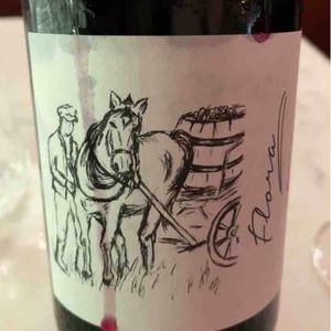 Brand Bros - Weingut Brand - Daniel & Jonas Brand - Flora