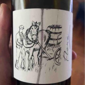 Flora - Brand Bros - Weingut Brand - Daniel & Jonas Brand 
