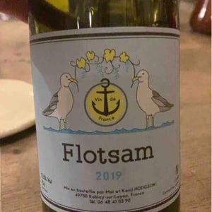 Flotsam - Vins Hodgson - Mai & Kenji Hodgson -2019