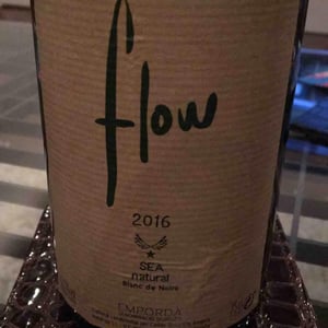 Sota Els Angels - María J. Polanco & Guy Jones - Flow