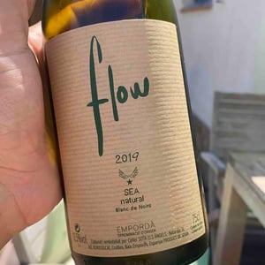 Flow - Sota Els Angels - María J. Polanco & Guy Jones 