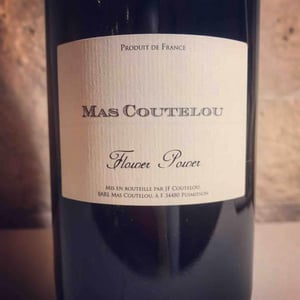 Flower Power - Mas Coutelou - jean-francois-coutelou