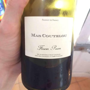Flower Power - Mas Coutelou - jean-francois-coutelou