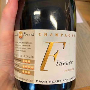 Fluence - Franck Pascal - franck-isabelle-pascal