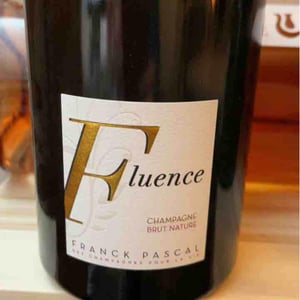 Fluence - Franck Pascal - franck-isabelle-pascal