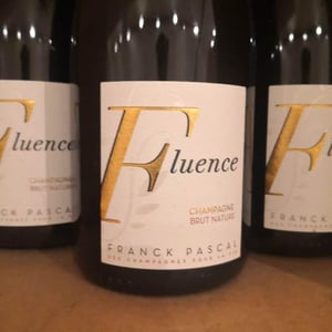 Fluence - Franck Pascal - franck-isabelle-pascal