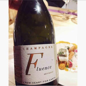 Fluence - Franck Pascal - franck-isabelle-pascal