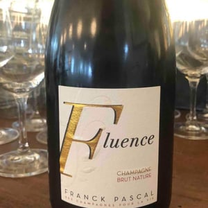 Fluence - Franck Pascal - franck-isabelle-pascal