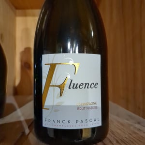 Fluence - Franck Pascal - franck-isabelle-pascal