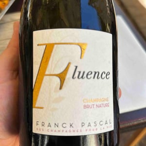 Fluence - Franck Pascal - franck-isabelle-pascal