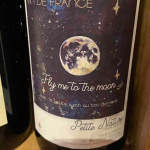 Fly me to the Moon - Petite Nature - pauline-maziou