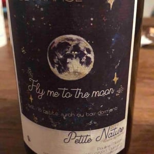 Fly me to the Moon 2019