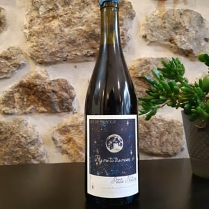 Fly me to the Moon - Petite Nature - Pauline Maziou -2021