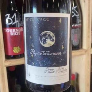 Fly me to the Moon - Petite Nature - pauline-maziou