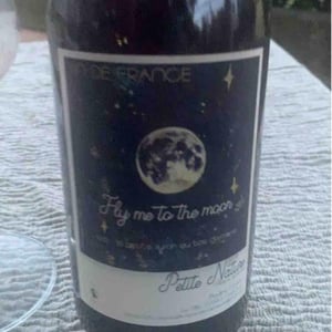 Fly me to the Moon - Petite Nature - Pauline Maziou 