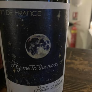 Fly me to the Moon - Petite Nature - pauline-maziou
