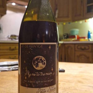 Fly me to the Moon - Petite Nature - pauline-maziou