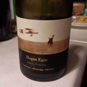 Hegan Egin (X Aldredo Egia) - Imanol Garay - imanol-garay