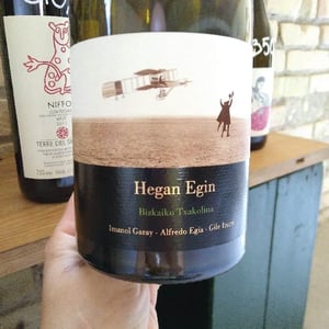 Hegan Egin 2017