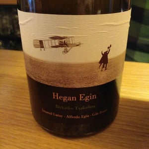 Hegan Egin (X Aldredo Egia) - Imanol Garay - imanol-garay