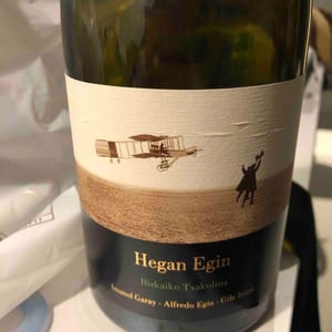 Hegan Egin 2017 - Imanol Garay - Imanol Garay