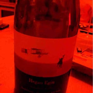 Imanol Garay - Imanol Garay - Hegan Egin (X Aldredo Egia)