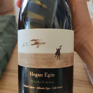 Hegan Egin (X Aldredo Egia) - Imanol Garay - Imanol Garay 