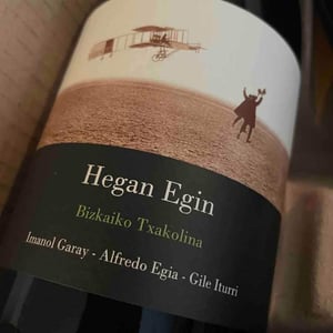 Hegan Egin (X Aldredo Egia) - Imanol Garay - imanol-garay