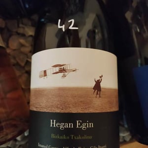 Hegan Egin (X Aldredo Egia) - Imanol Garay - imanol-garay