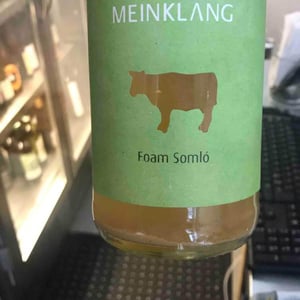 Foam Somló - Meinklang - Weingut Michlits - angela-werner-michlits
